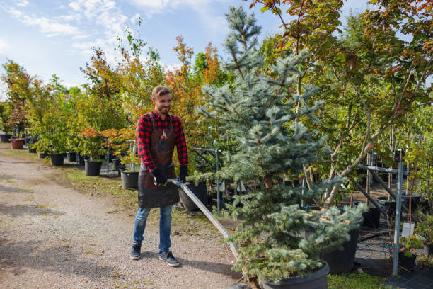 Best Commercial Tree Services  in Covgton, IN