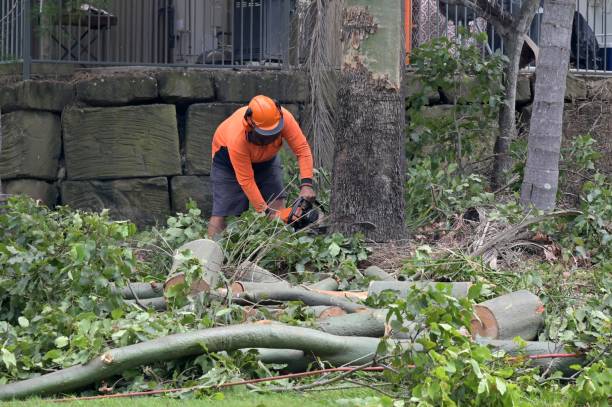 Best Leaf Removal  in Covgton, IN